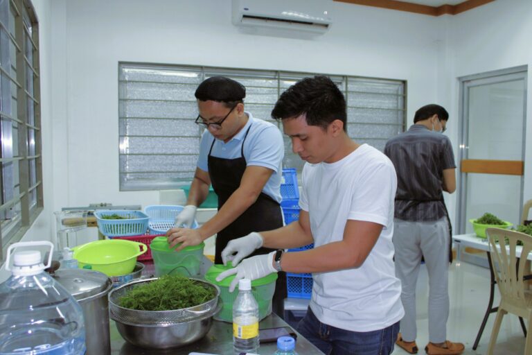 ames Tababa - Postharvest Training and Research Center, PHTRC, Freshcuts