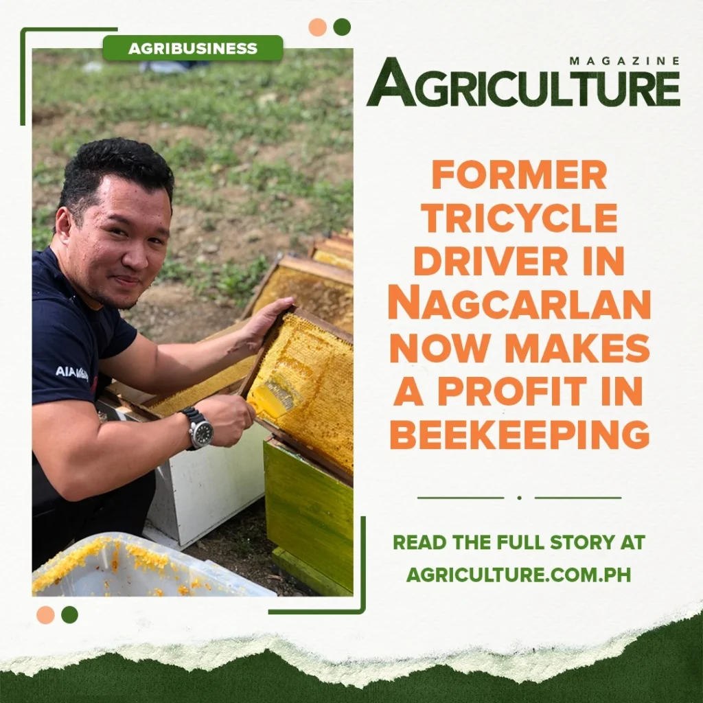 Agriculture Magazine by James Tababa - SEO Specialist in Tarlac, Philippines