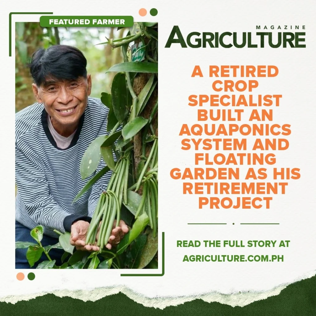 Agriculture Magazine by James Tababa - SEO Specialist in Tarlac, Philippines