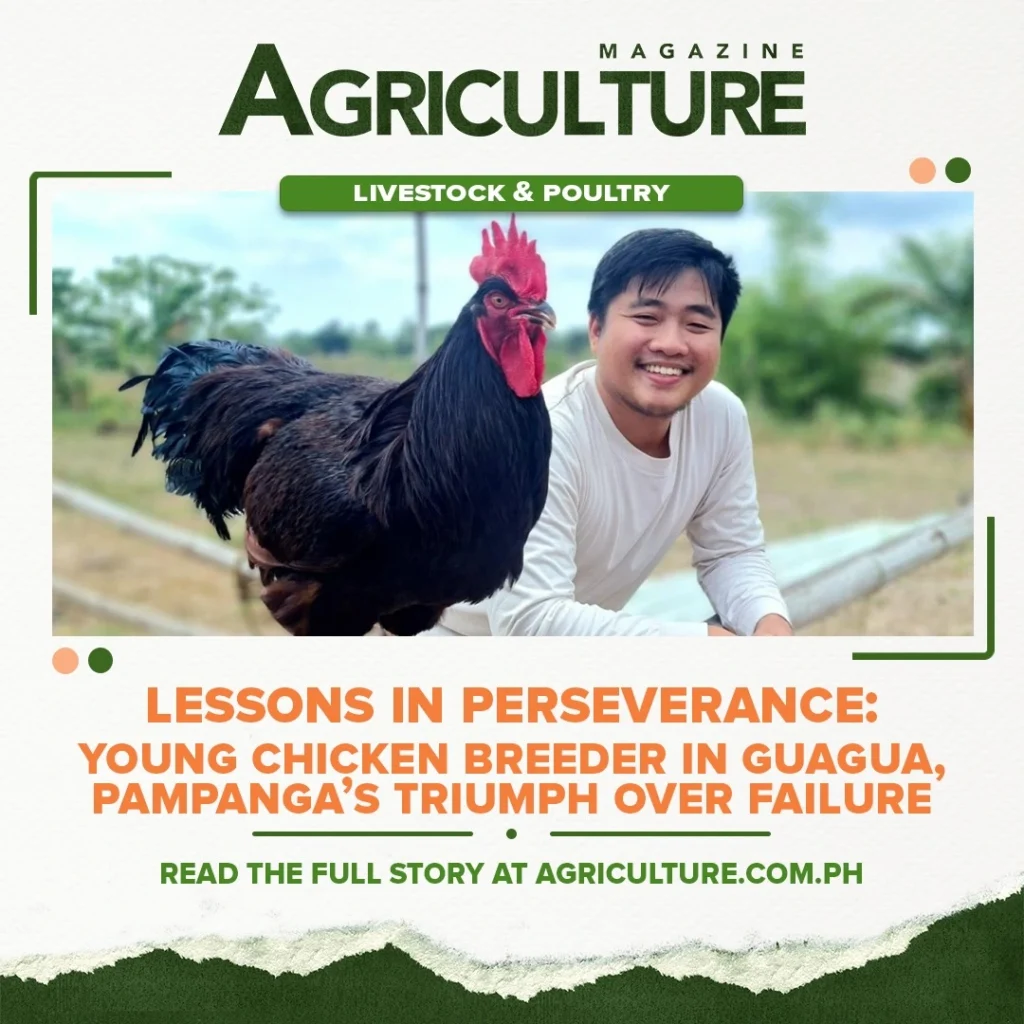 Agriculture Magazine by James Tababa - SEO Specialist in Tarlac, Philippines